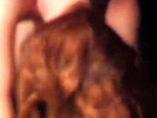 Hanged For Treason - PKF