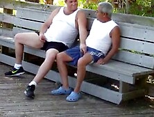 Older Gays Have Sex In Public Park