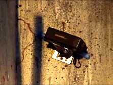 They are aroused and confined in a room,  leading 'em to engage in anal put in.