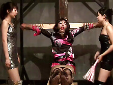 Training Chinese Cd Slave