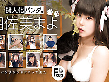 Human Panda - Japanese Teen Cosplay Cuddle Tease (18+)