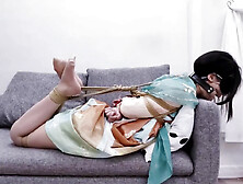 Meow Daily Slave Life