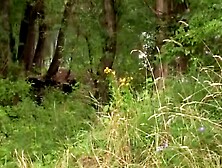 UNLEASH THE BEAST Insatiable Dark Haired Seductress Devours Innocent Lover