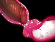 INSTINCT,  INTENSE SEX,  TASTY HOT ASS FUCKED,  CUM IN PUSSY