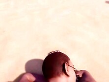 Wild Life In The Army (Now)