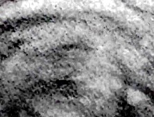 Petites-Exotic-Milf - Petite Milf Carolina White Strips Down To Red Lace Panties