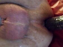 Staycation 2024- Day 1