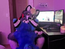 Gamer Furry Gets Sucked Off & fucks Cute Wolf Girl In Return