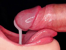 Close Up: Rub Your Dick On My Tongue And Cum In Mouth! Sensual Licking And Teasing The Frenulum Asmr