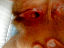 spreading holes for cum