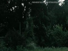 Tell It to the Bees (2018)