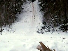 Sledding for a Different Kind of Thrill 3 Ripe for the Picking