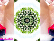 Wylde Ryde 2025 Suzy Wylde in her first Year in the Adult Industry