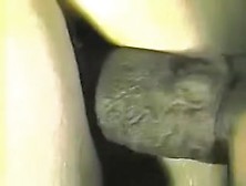 A Massive Dark Ramrod Copulates White Cutie