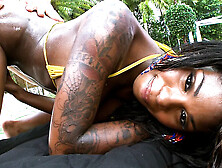 Protein With A Smile - BrownBunnies