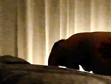 Reife ehestute jammert und stöhnt als sie ihn hinten rein bekommt