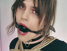 Trans Girl Killkitty Ball Gagged Pole Tied Vibed And Forced Orgasm In Her Panties