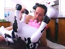 Dude has sex with a blow up cow