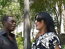 Public Shemale Pick Up - Black Man Fucks Horny Transsexual