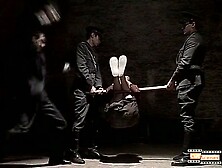 On the parrot's perch