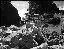 The Babysitter (1969)