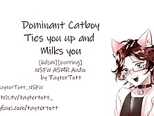 Dominant Catboy Ties you up and Milks you || NSFW ASMR RolePlay [bdsm] [purring]