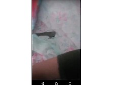 izmirli Gavat Koca Canli Yayinda Am Yaliyor