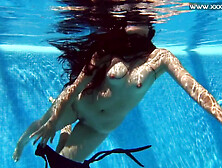 Andreina Deluxe Heiße Latina Im Pool