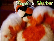 Kandi & Sherbet Fursuit Yiff