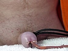 New video.  Fat worms fuck me.