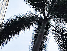 Rude Older Monster Rod Destroys Tiny Teeny Holes in Bad Way