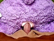 Teddy bear sex