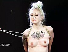Life with Dr Lomp - part 2 - rough boob punishment with whipping and nailing