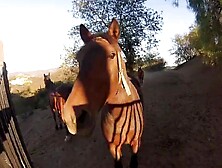 Piece From The Middle East - (Full Sex Tape - HD Original uncut