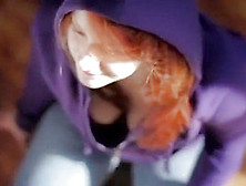 Purple Hood Swallows