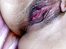Desperate Pleasures of a Wanton Desire