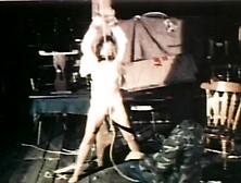 Vintage Bdsm Pmv Comp