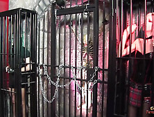 3 hoes moan loudly while getting their holes plowed hard