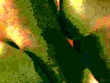 Watch delicious Mickey Mod and Jada Iris's scene