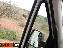 Obedient Black Girlfriend Sloppy Sucks Large Weenie American BF On Vacation