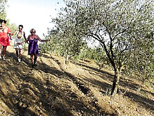 Outdoor Fffm Sucking And Fucking By The Olive Tree