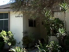 Rainbow Party- Titopia