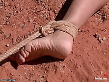 Red-Head Hitchhiker Rammed In The Desert