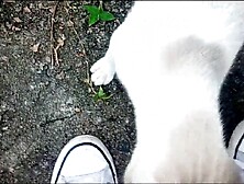 Sarah Rosa │ Showing the Crazy Hot Little Hands