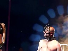 Kinky Brunette Stripper Humiliates That Submissive Gimp On The Stage