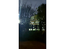 春城绿道旁草长莺飞时无惧路人露天野战