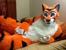 Flirty Tiger Teasing