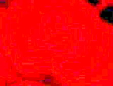 finds low Quality anal