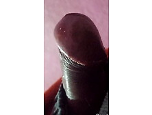 Big Dick Handjob Xxx Sex Free Jerking Off