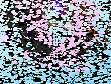 Horny MILF Stepmom Serves Twat For Dessert - Mister Cox Productions